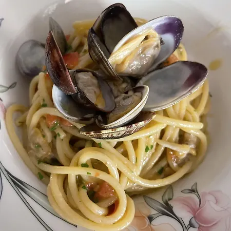 Отель Lord Byron